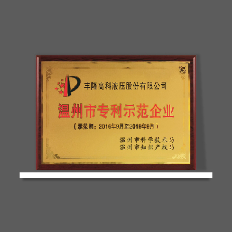 溫州市專(zhuān)利示范企業(yè)